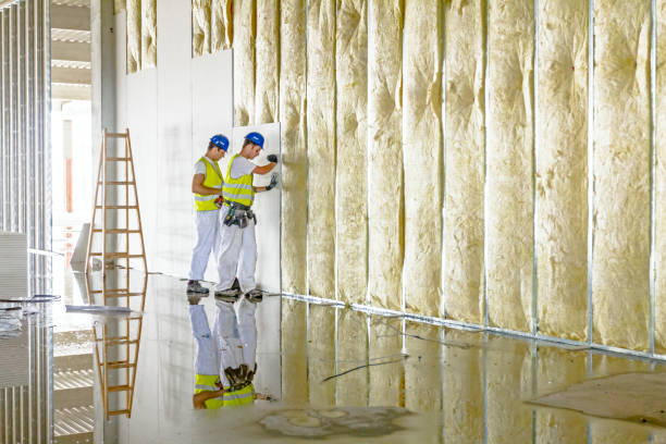 Best Insulation Installation Services in Medina, WA